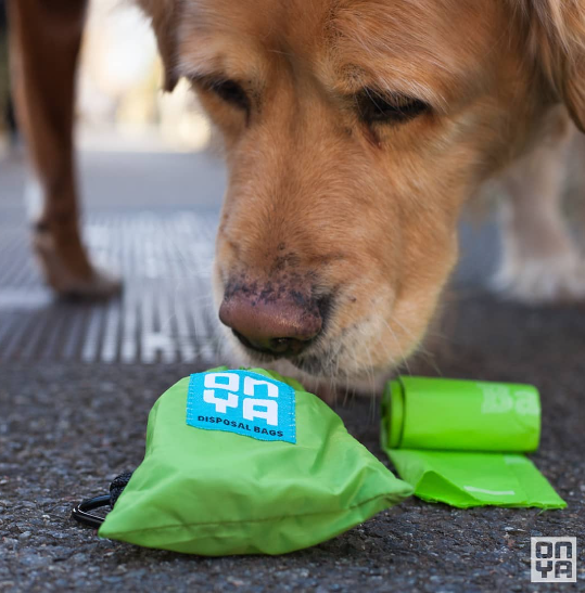 Compostable Dog Waste Bags