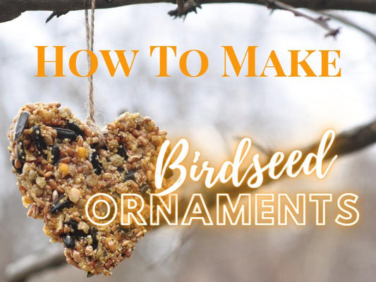 How To Make Birdseed Ornaments