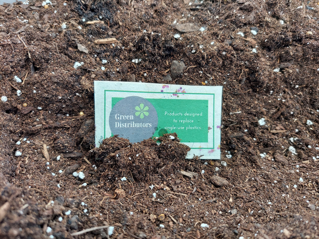 Green Distributors Seed Paper Business Card being planted in soil
