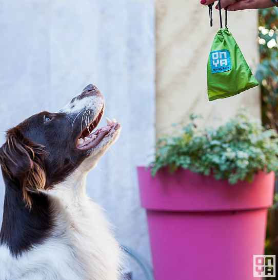 Compostable Dog Waste Bags